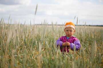 child in a wheat field at sunset