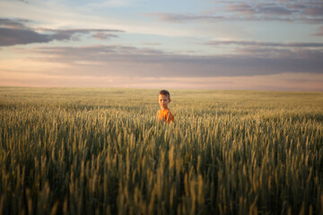 child in a wheat field at sunset