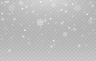 Fotobehang Vector snowflakes. Snowfall, snow. Snowflakes on an isolated background. PNG snow. Snow storm, Christmas snow. Vector image. © Vitaliy