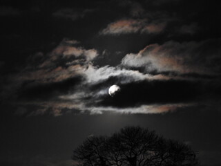 Obraz premium moon and clouds