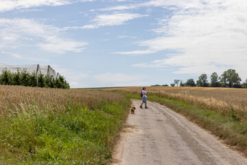 Mature woman with her dog on a rural footpath between farmland and filming with her holding gimbal mobile phone tripod head stabilizer, sunny day in South Limburg, Netherlands