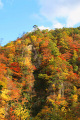 秋の鳴子峡（宮城県・大崎市）