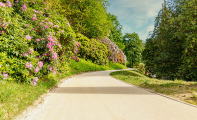 Weg in einer Parkanlage mit Rhododendron-Bäume am Wegrand