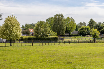 Obraz premium Landscape with rural animal farms between fences with green grass, trees and horses, sunny summer day with blue sky and white clouds in Beek, South Limburg, Netherlands
