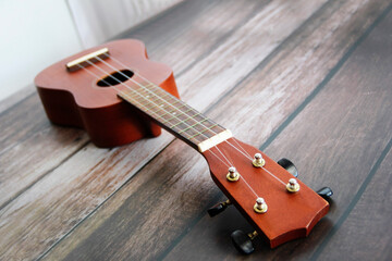 musical instrument guitar with strings