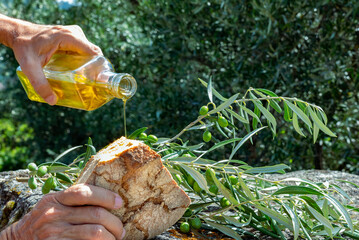 Olive oil in a bottle and bread in nature with an olive branch and a rocky bottom