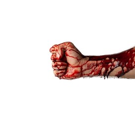 Bloody hand isolated on white background. © Tigran Gasparyan