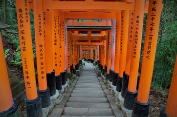 Japan pictures, typical japanese traditional lifestyle, trees ans nature in japan 
Beautiful...