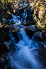 Fototapeta premium Winter river in Capcir, Cerdagne, Pyrenees, France