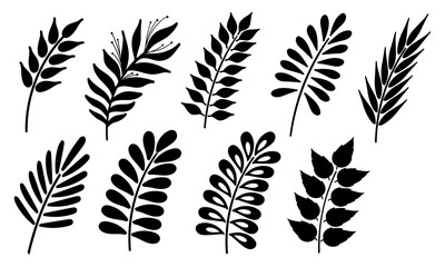 Leaf set. Floral elements collection. Different type of hand drawn leaves, branches. Vector illustration.