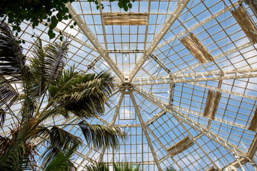 Dach von einem Gewächshaus