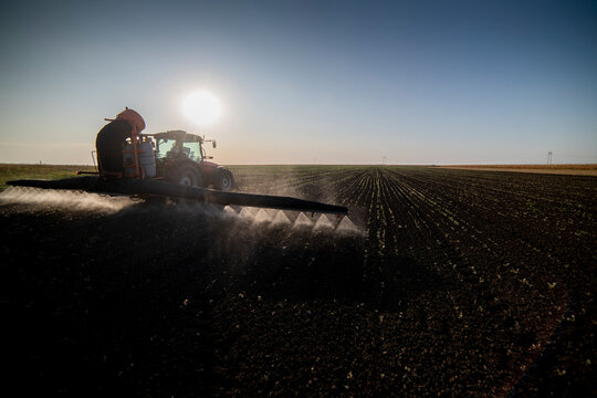 Tractor Spraying Pesticides On Field With Sprayer