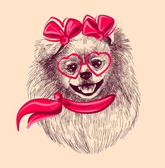 Pomeranian dog in fashionable glasses and scarf. Print illustration for t-shirts, postcards, etc. A sketch drawn by hand in a vector on an isolated background.