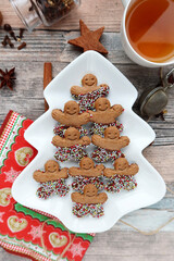 Omino di Pan di zanzero