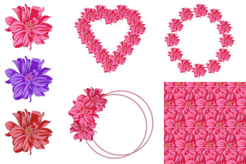 flower set with flowers, frames, and seamless pattern
