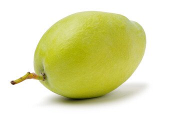 Mango on a white background