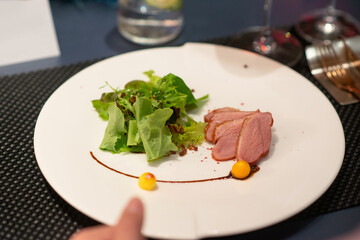 fine roasted duck eat with vegetable and mash potato