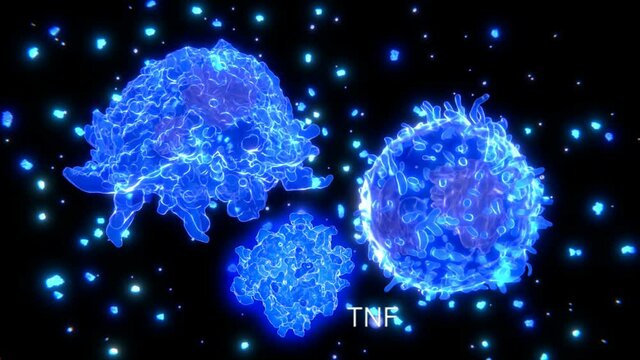 Cytokine storm, macrophage and T effector cell segregate cytokine