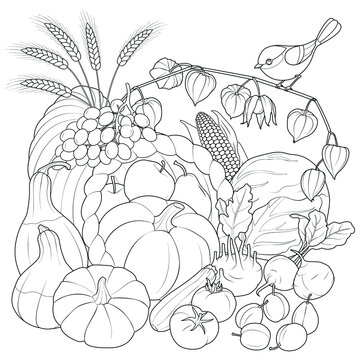 Harvest vegetables and fruits with bird black and white vector illustration