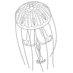Jellyfish black and white vector illustration 