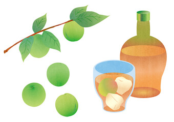 青梅と梅シロップの素材イラスト