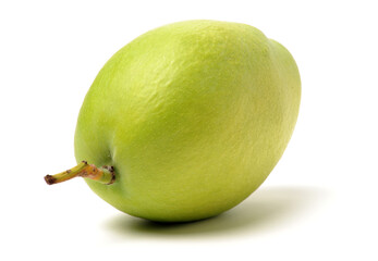 Mango on a white background