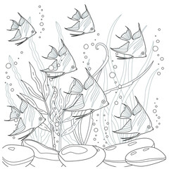 Tropical fish black and white vector illustration