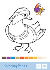 Colorful vector template and colorless contour illustration of a mandarin duck. Wild birds preschool kids coloring book illustrations and developmental activity