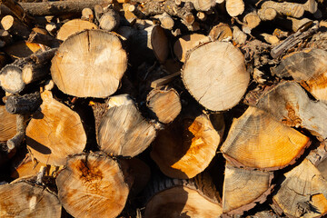 Preparing for winter by stacking wood logs