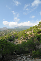 Fototapeta na wymiar Les environs du village d'Orino à Iérapétra en Crète