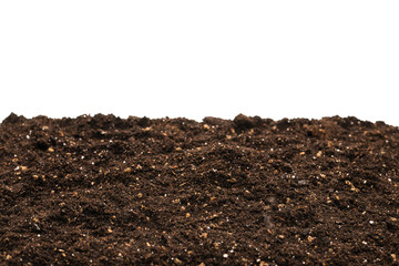 Black land for plant.