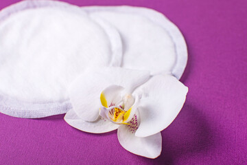 Naklejka na ściany i meble Cotton breast pads on the violet background. Disposable nursing pad.