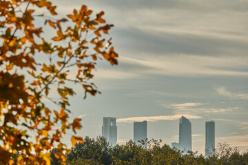 Obraz premium The colors of autumn and the Cuatro Torres de Madrid seen from the Valdebebas forest park. Spain