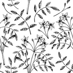 Hand sketched Jasmine seamless pattern. Botanical illustration with leaves and flowers. White Jasmine backdrop. Hand-drawn flowering plant background. 