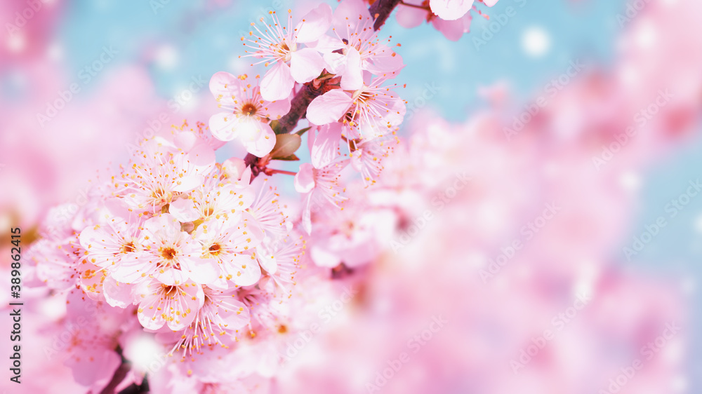 Poster spring background blossoming tree branches in spring