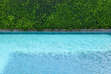 Blurred view, Blue outdoor swimming pool with green plant wall for background.