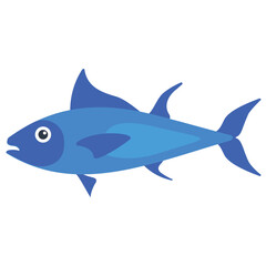 Obraz premium A specie of lake malawi cichlids in sharp blue color lives in rocky substrates, electric blue hap or blue ahli fish 