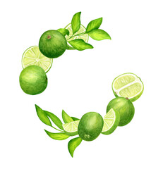 Watercolor fresh limes and leaves wreath. Hand drawn botanical illustration of green citrus fruits isolated on white background. Round composition for invitation, decor, package, cards.
