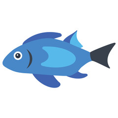 
A specie of lake malawi cichlids in sharp blue color lives in rocky substrates, electric blue hap or blue ahli fish 
