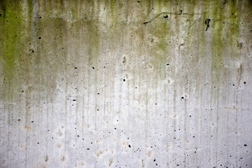 High quality street wall with a moss texture. (300dpi, 6000x4000)
