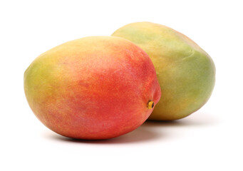 mangos on a white background