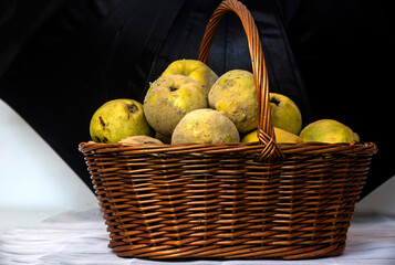 organic quinces without glitter treatment in a wicker basket