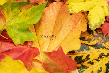 Change Chance Stempel auf bunten Blättern im Herbst 
