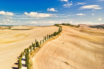Golden Fields of Siena Tuscany with Road Aerial View