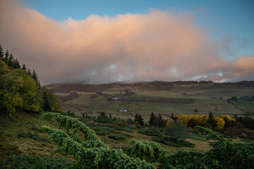 Fototapeta premium paysage