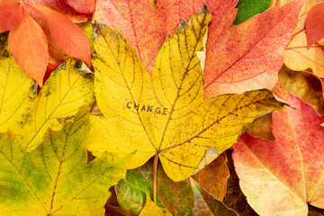 Change Chance Stempel auf bunten Blättern im Herbst 