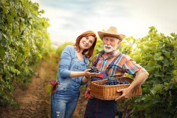 Portrait of a cheerful senior man with daughter during harvest grape