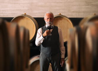 Senior winemaker standing by barrels in his wine cellar