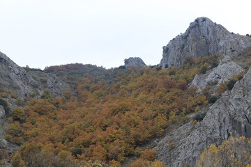 Castilla y León. León. Cistierna. Río Esla. Paleta de COLORES