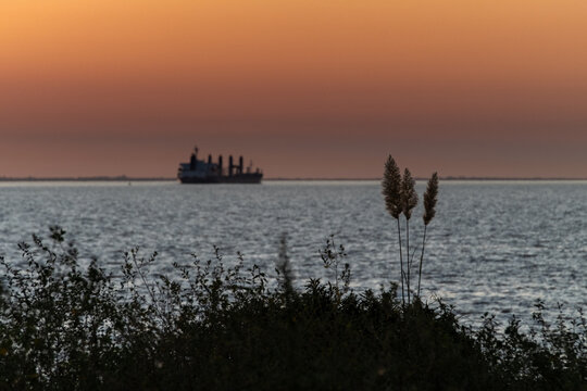 Big cargo ship during a deep orange sunset at Uruguay River, Colonia, Uruguay. Some reeds can be seen on the background of the image. The image has landscape orientation